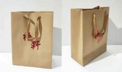 Eco-friendly Shopping Bag